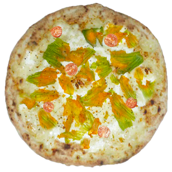 FIORITA 