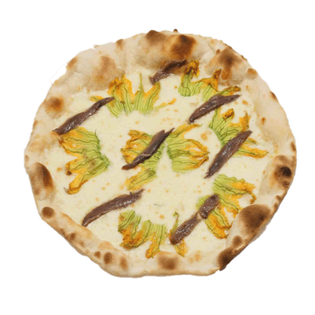 FIORI DI ZUCCA