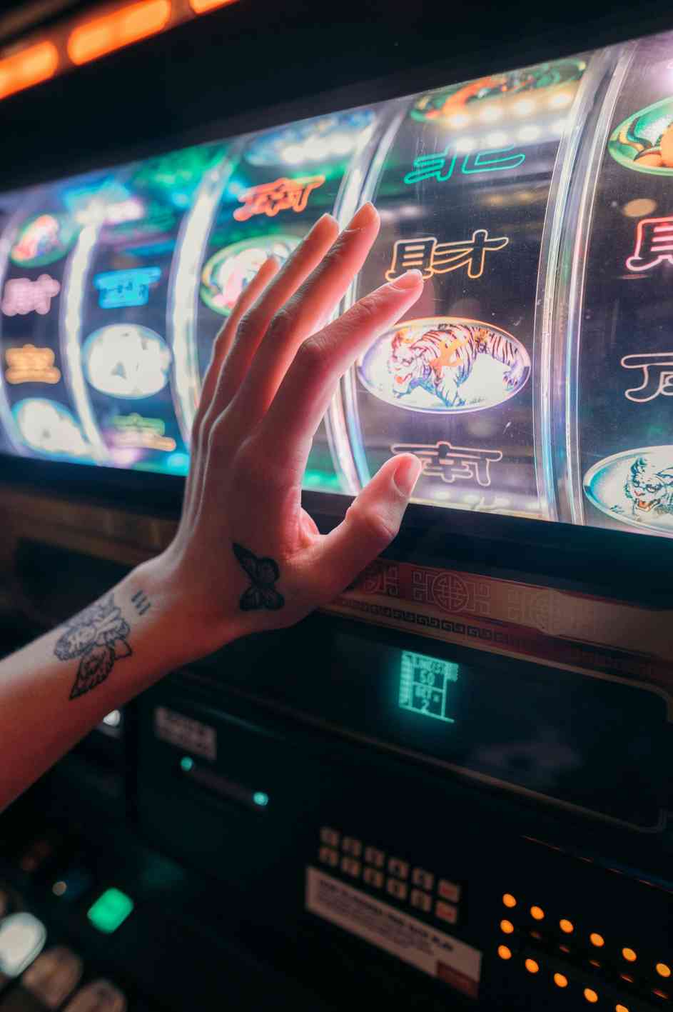 Wild robin casino online Wild robin casino online